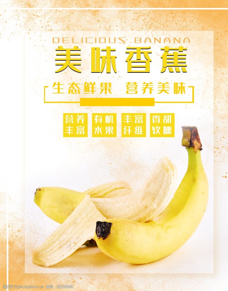 香蕉种植香蕉
