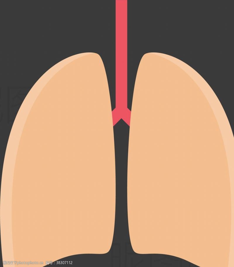 鼻炎肺