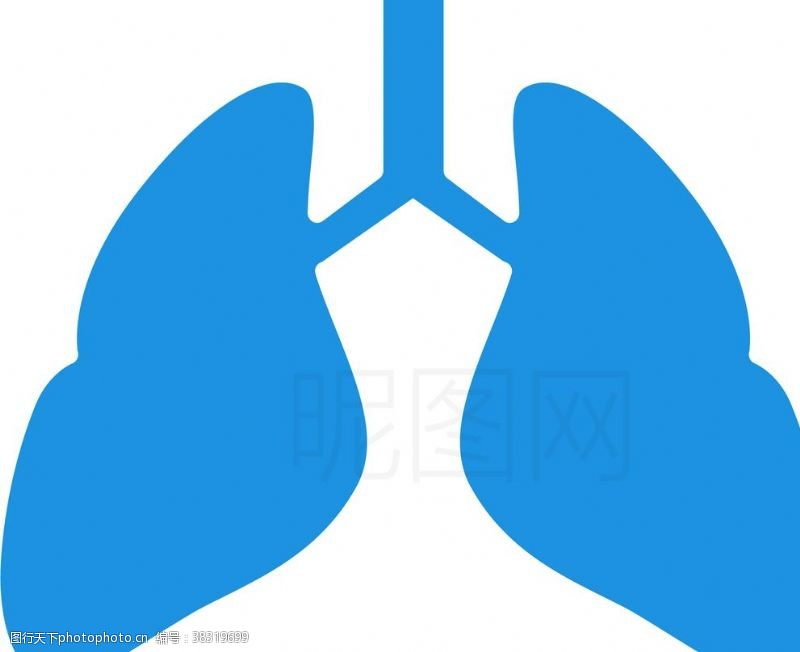 蓝色领子肺