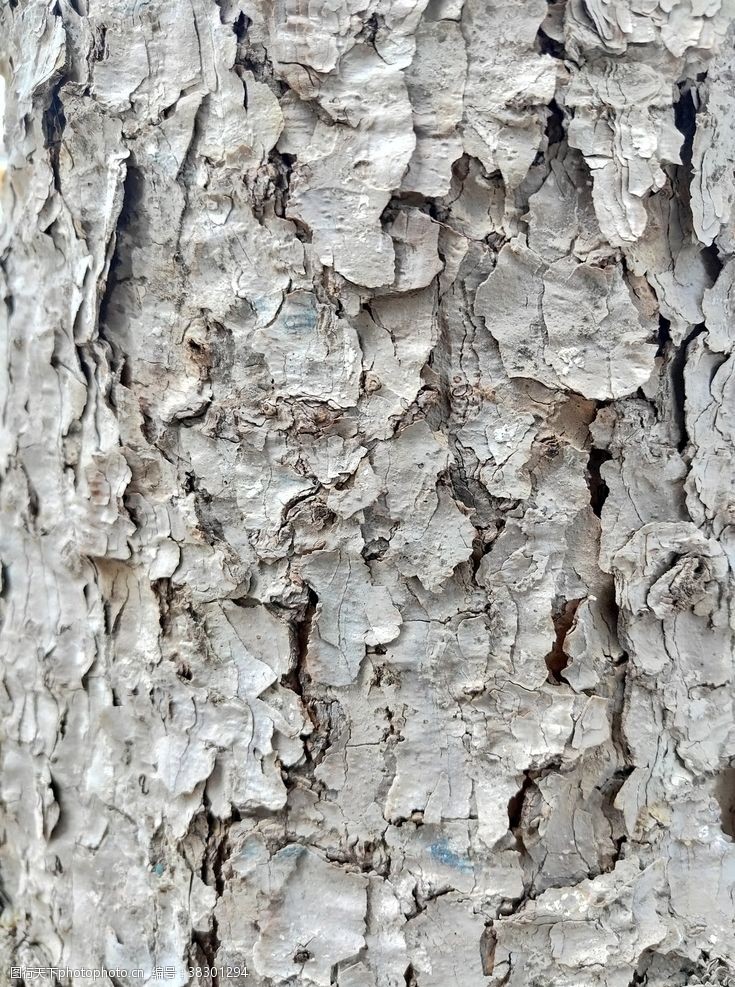 木质家具纹材质实木树皮竖纹花纹