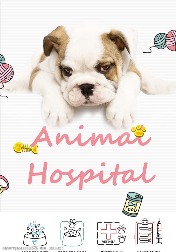 宠物领养宠物医院