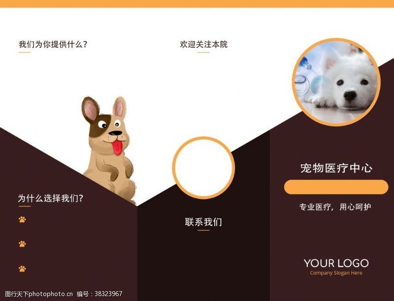 宠物店促销宠物医院折页