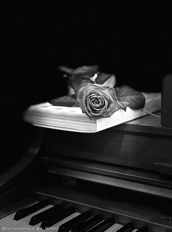 白卡纸本钢琴玫瑰图片