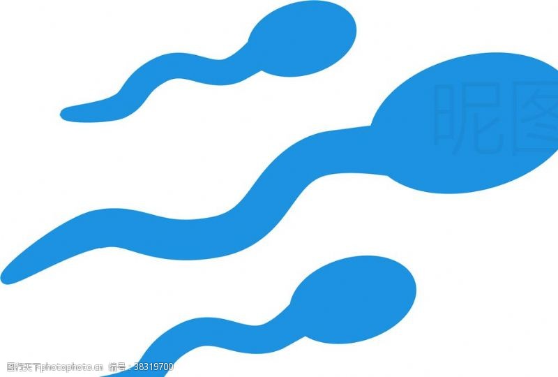 蓝色领子蝌蚪