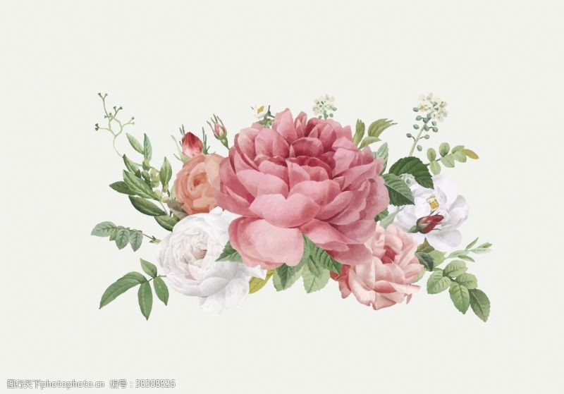 婚礼画册手绘植物花卉背景