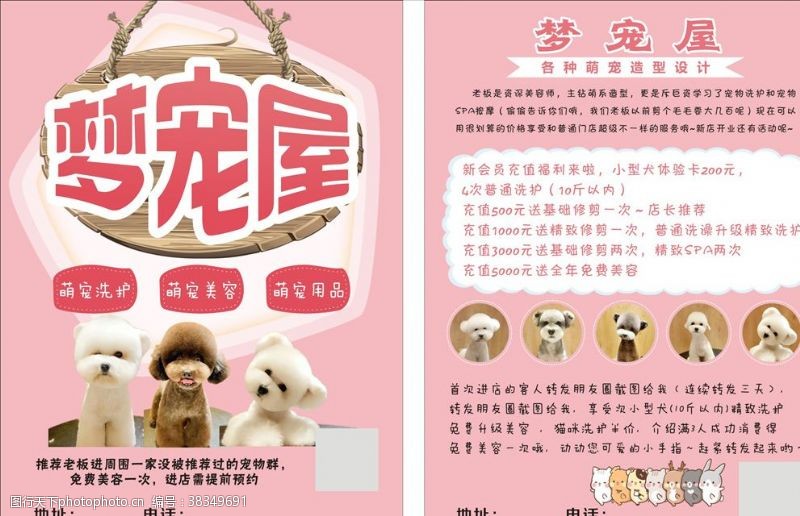 宠物店彩页宠物店宣传单
