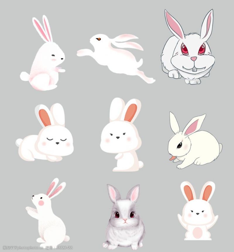 火锅兔卡通兔子