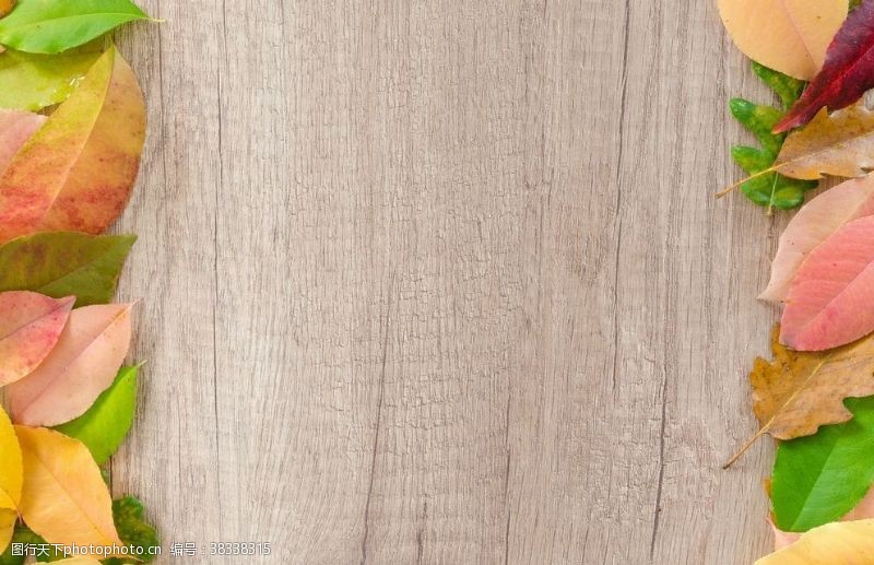 复合材料树叶木板