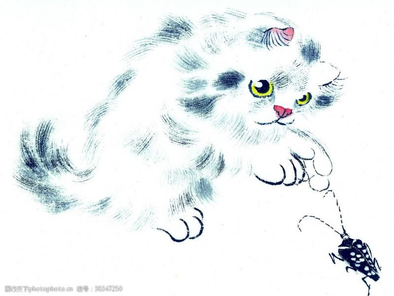 法国中国国画篇猫