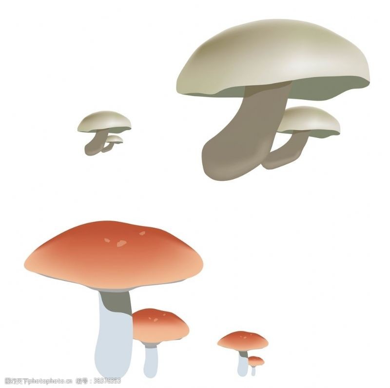 采蘑菇秋季蘑菇森林树丛蘑菇矢量可爱