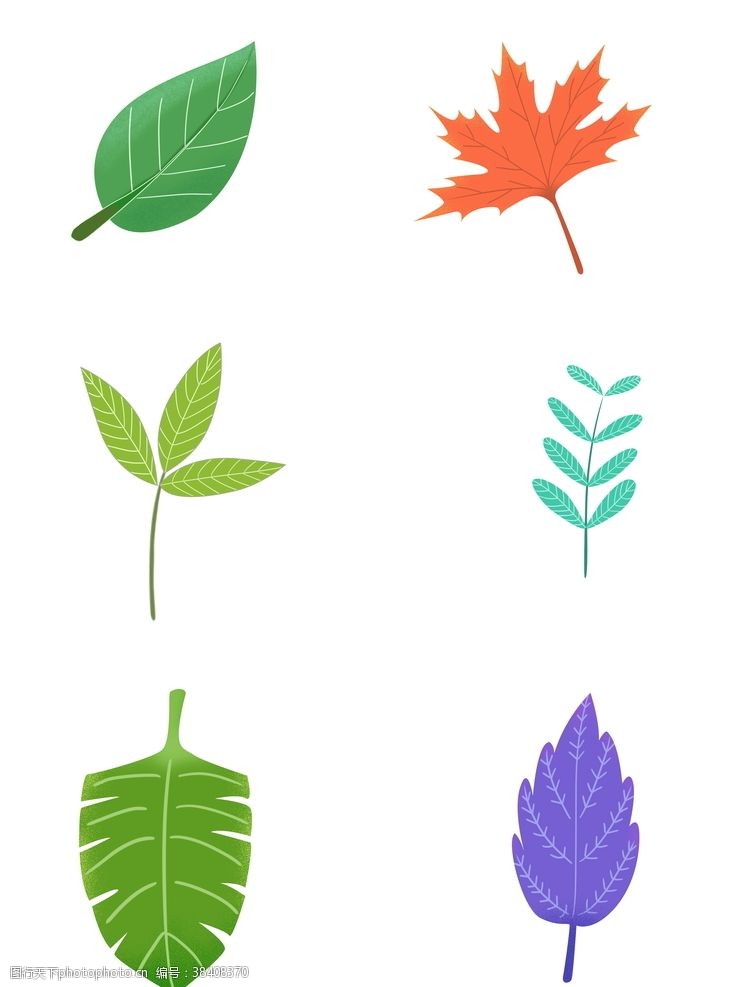 树状图彩色树叶叶子形状矢量素材