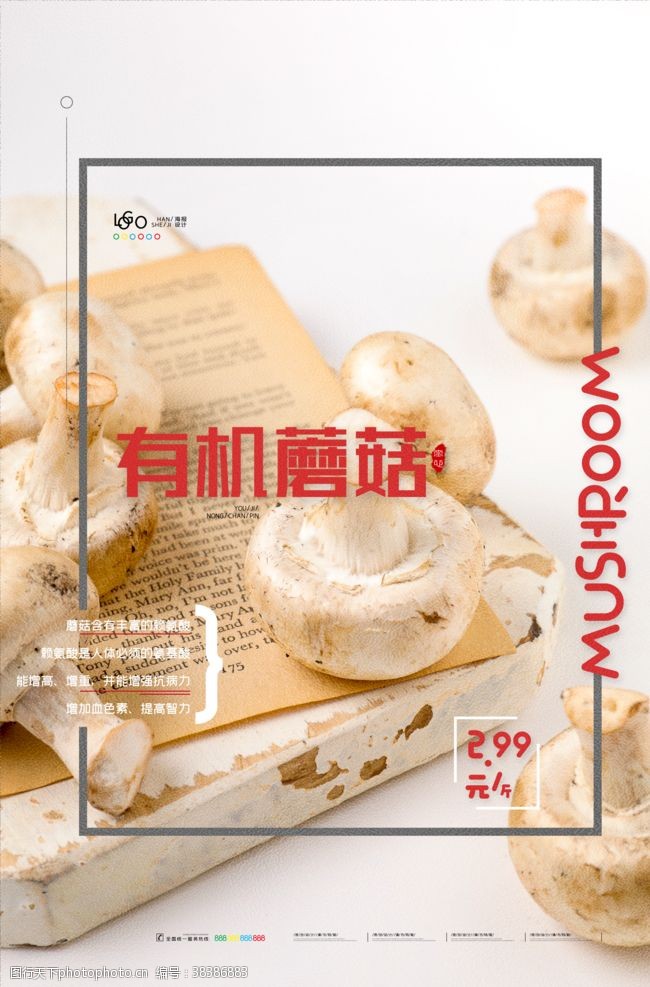 蘑菇特产有机蘑菇海报