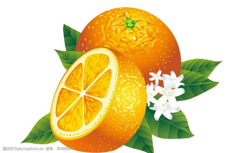 卡通橘子橙子水果矢量图片设计素材