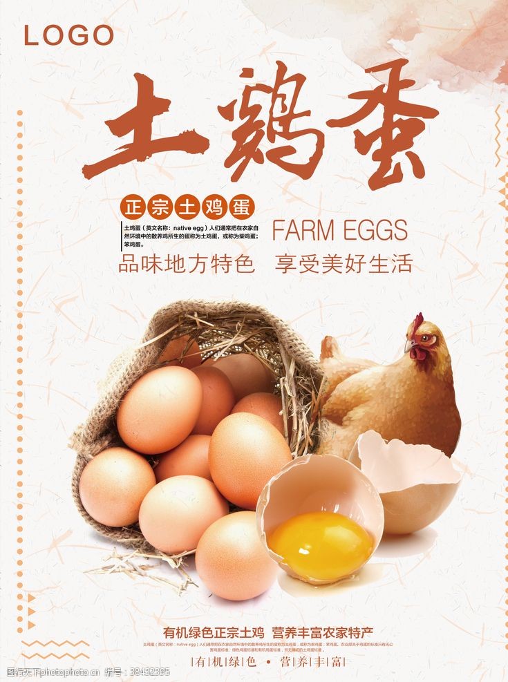 农场宣传单鸡蛋