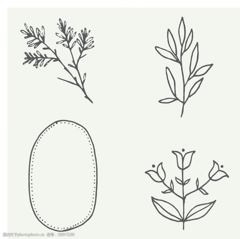 绿叶藤手绘植物图片