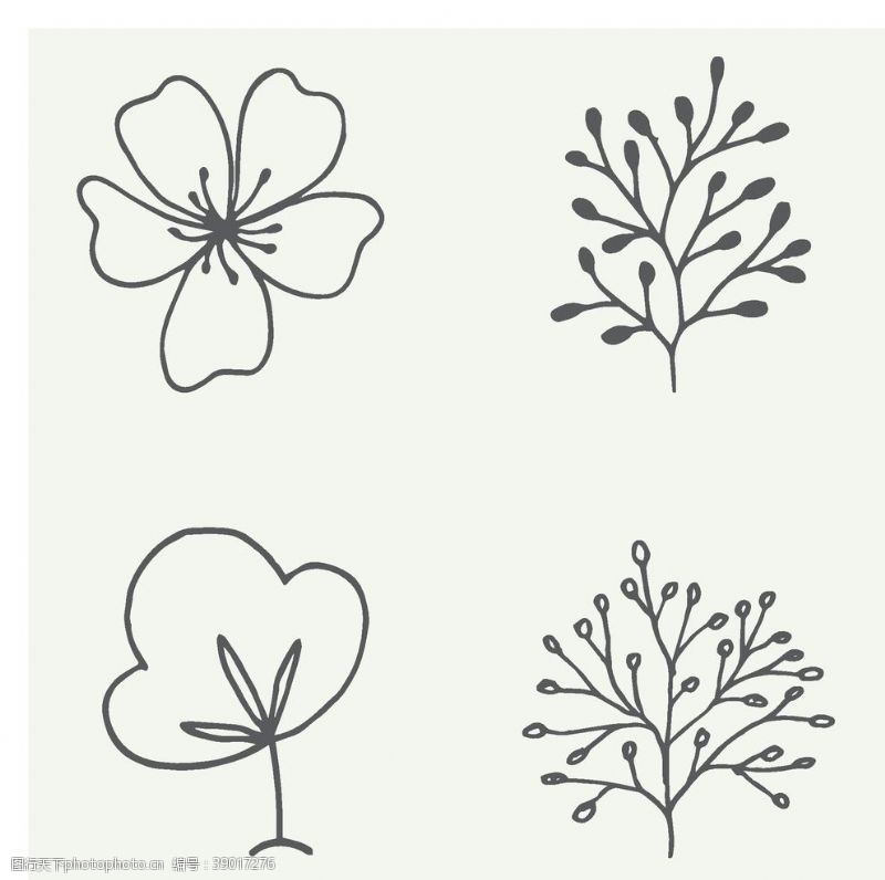 花卉白描图手绘植物图片