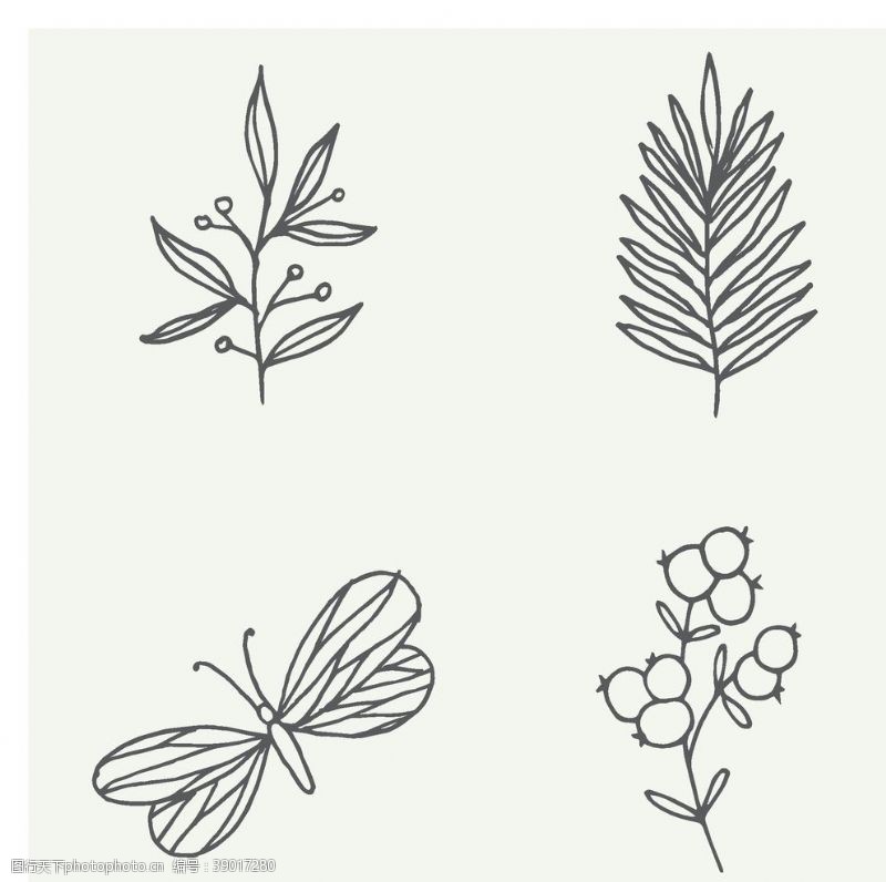 花卉白描图手绘植物图片