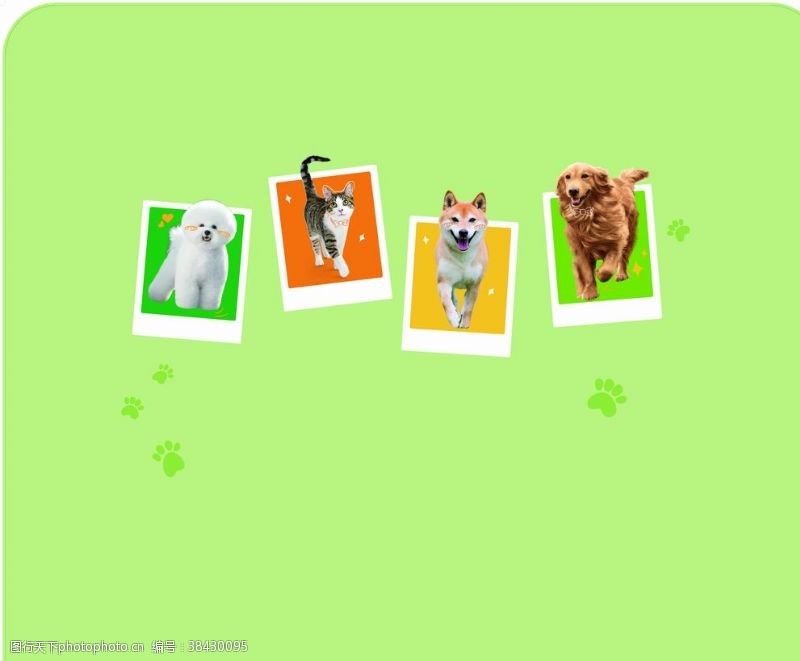 猫狗背景图片免费下载 猫狗背景素材 猫狗背景模板 图行天下素材网
