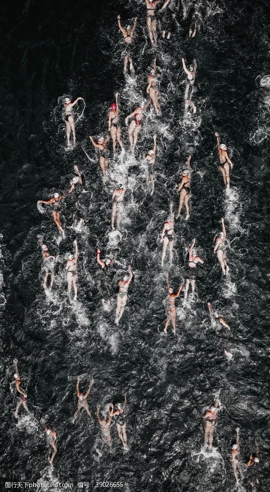 体育运动员游泳图片