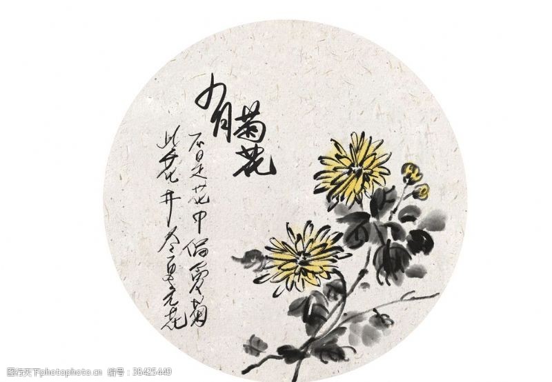 清淡画面中国风花卉