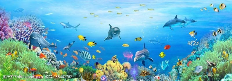 3d海豚海底世界海豚小鱼大鱼儿童卡通画