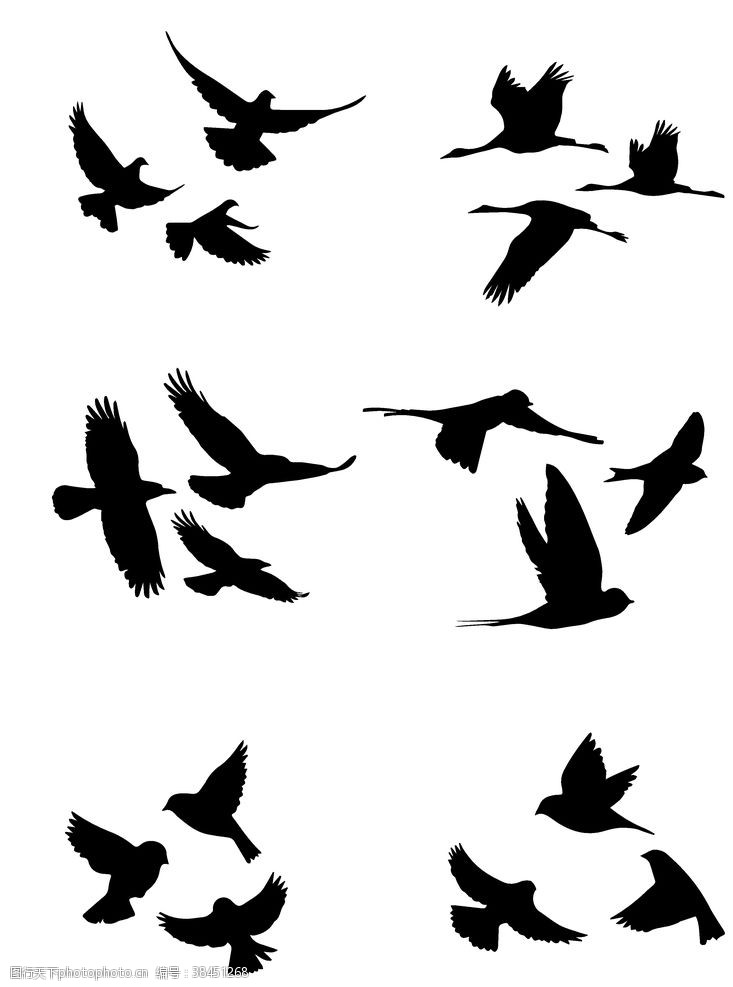 飞鸽飞鸟元素图片