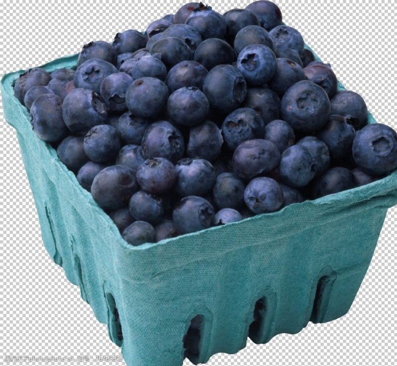 清爽透气蓝莓