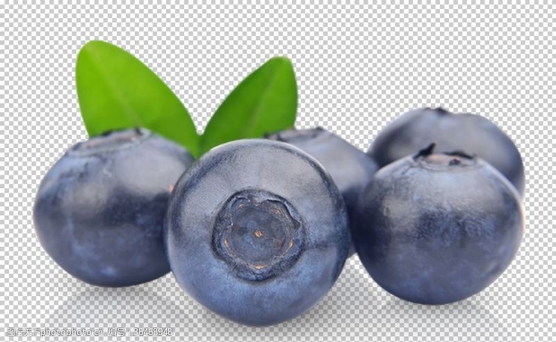 清爽透气蓝莓