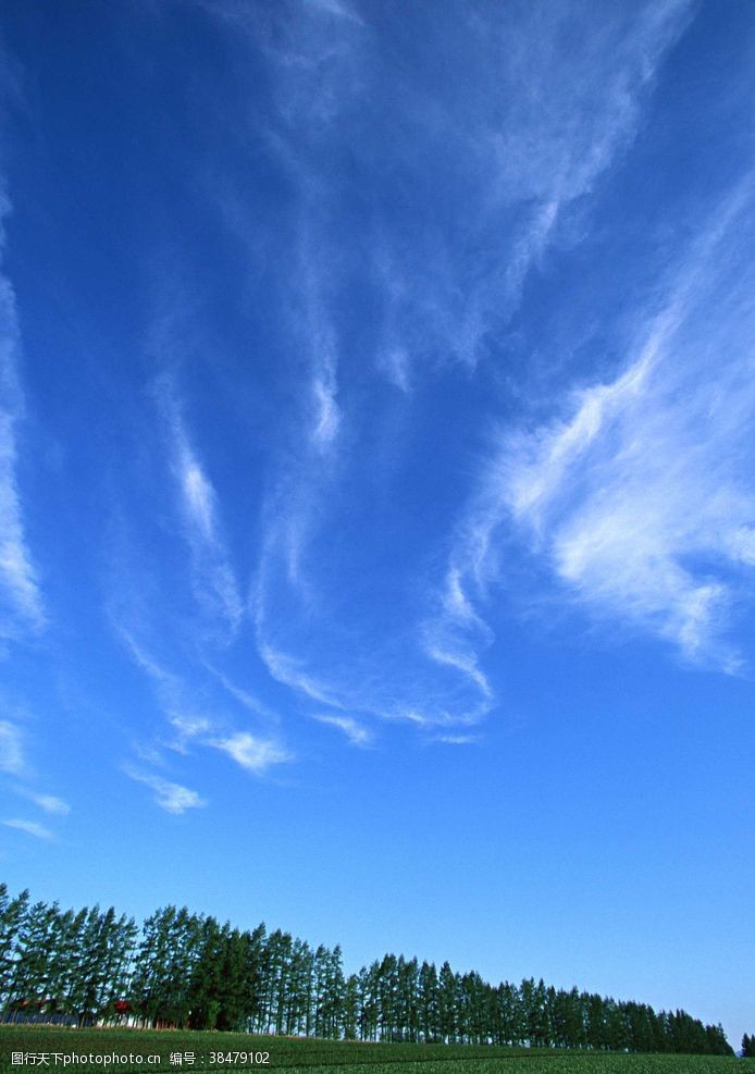 空中草原蓝天绿地