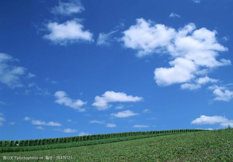 空中草原蓝天绿地