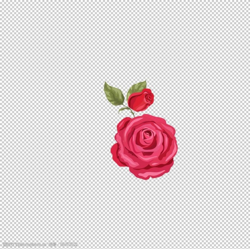 红玫瑰鲜花素材
