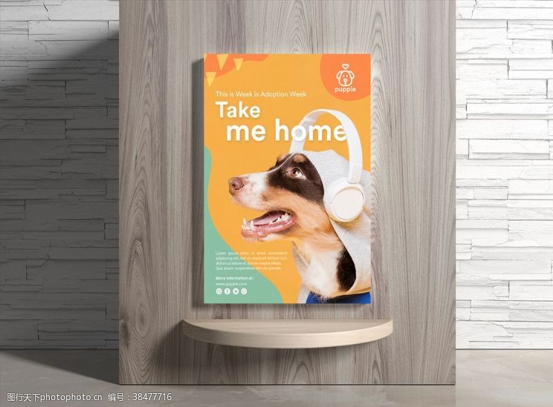 食品院宠物海报