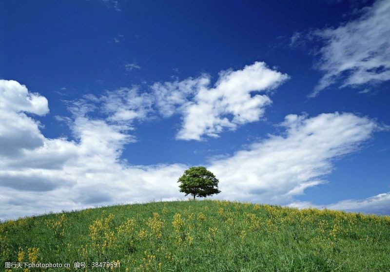 空中草原蓝天草地