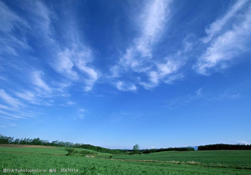 空中草原蓝天绿地