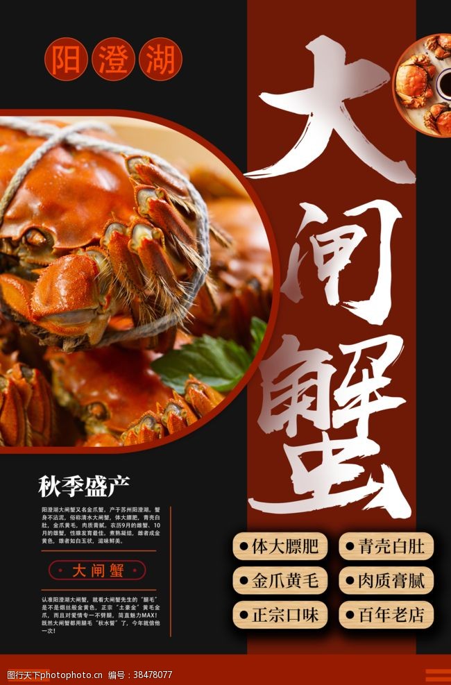 香辣蟹展板螃蟹海报