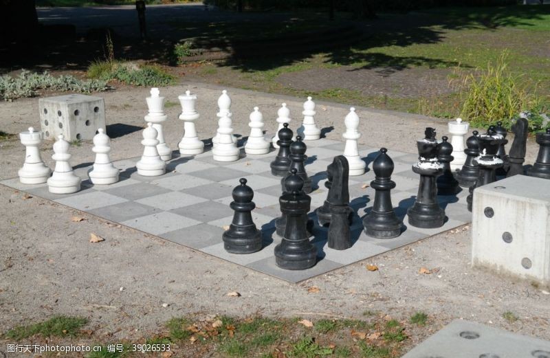 娱乐室国际象棋图片