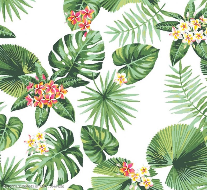手绘卡通棕榈树手绘热带叶子