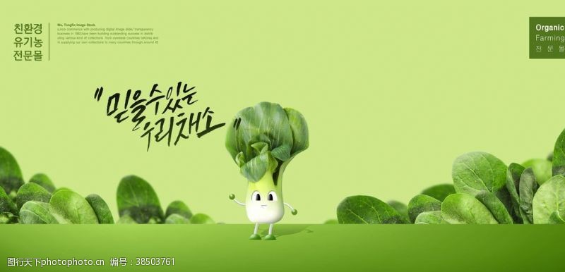 蔬菜海报绿色青菜展板