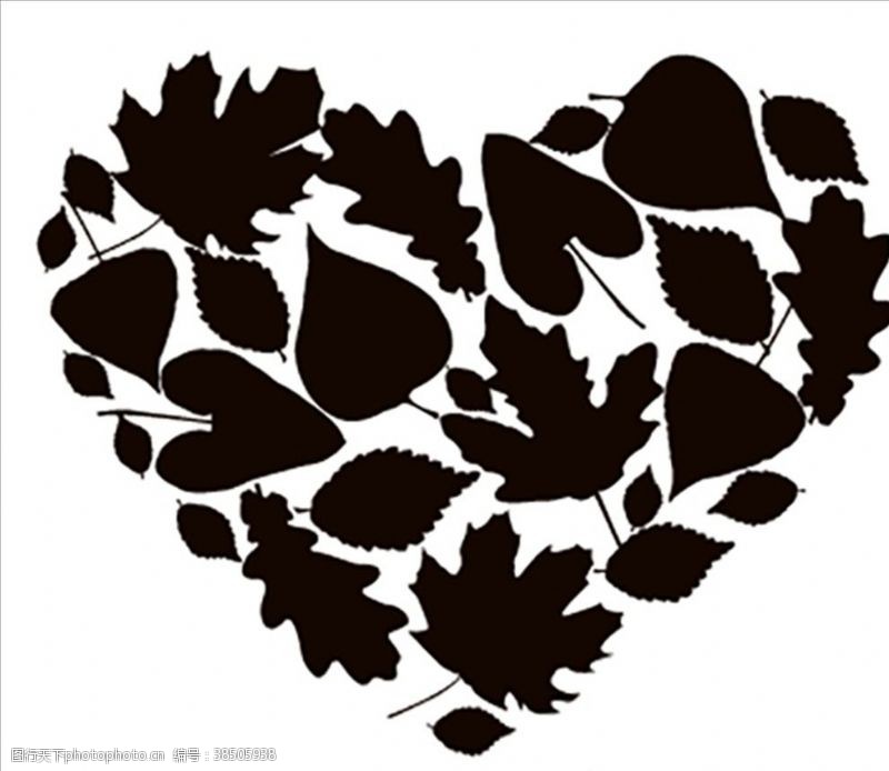 心形树叶植物叶子心型拼图