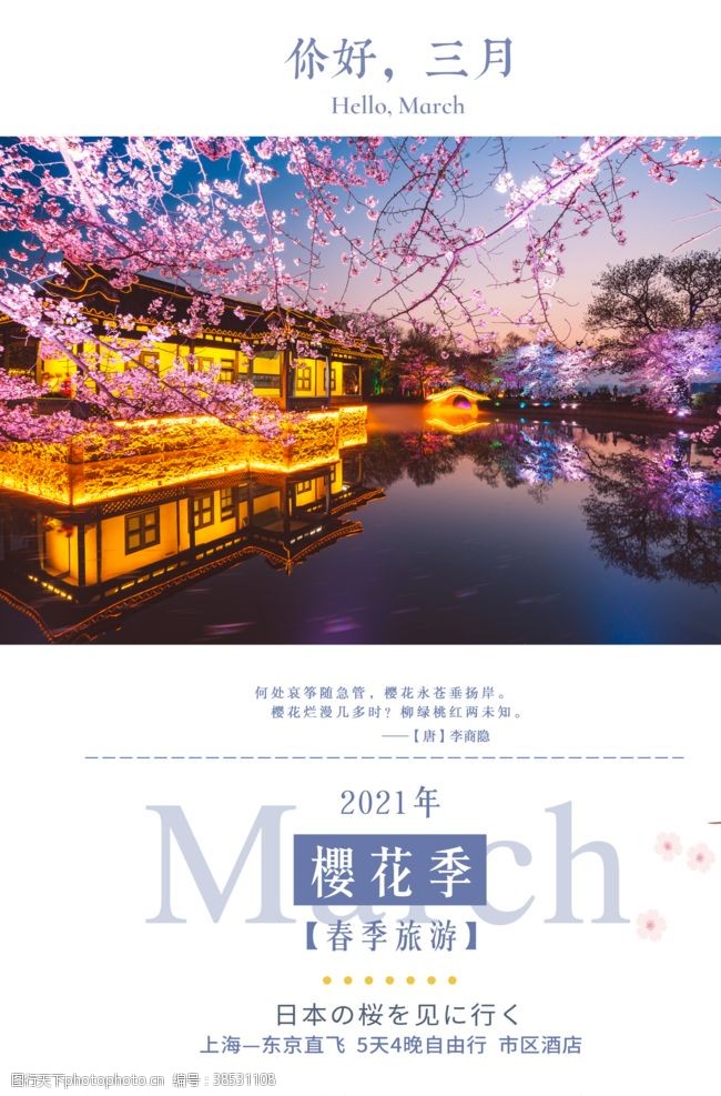 你好三月樱花季樱花节海报
