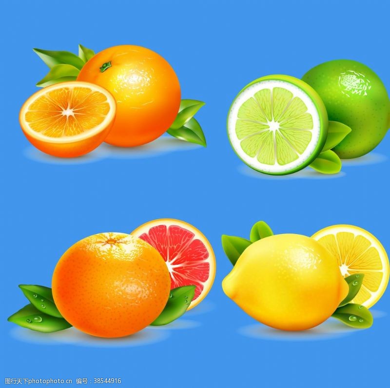 橙子切片素材柠檬橙子