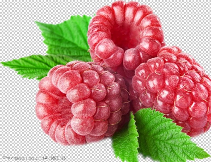 清爽透气树莓