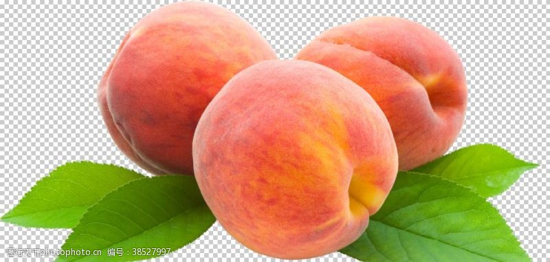 水蜜桃油桃桃子