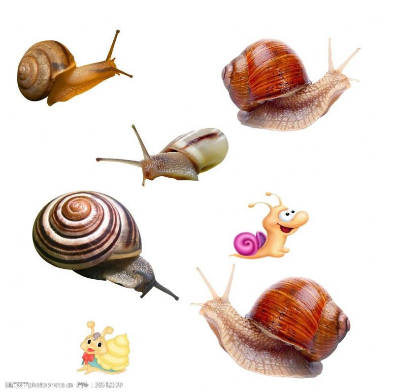 矢量卡通插画蜗牛