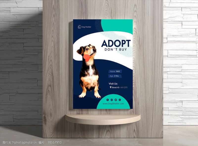 宠物店促销宠物海报
