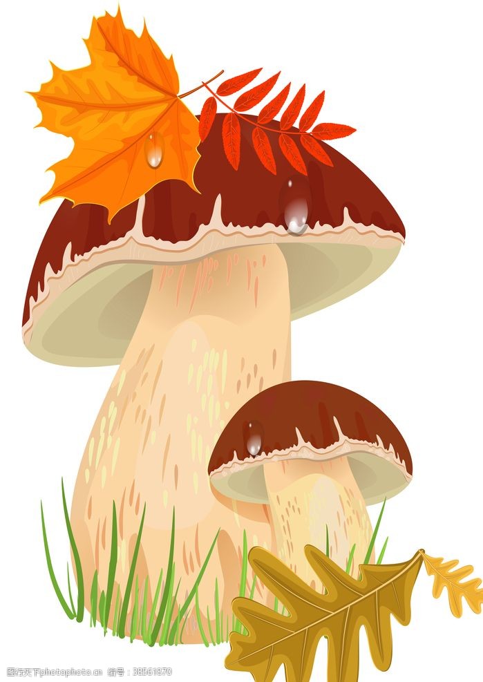 鸡腿菇卡通蘑菇