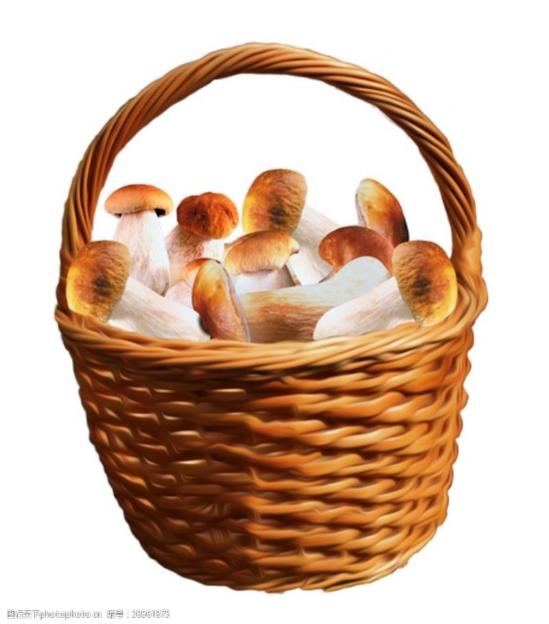 鸡腿菇卡通蘑菇