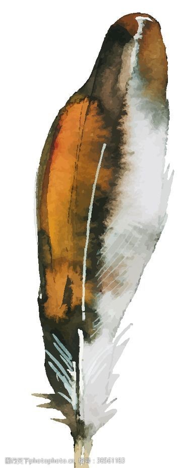 波西米亚装饰水彩羽毛图案