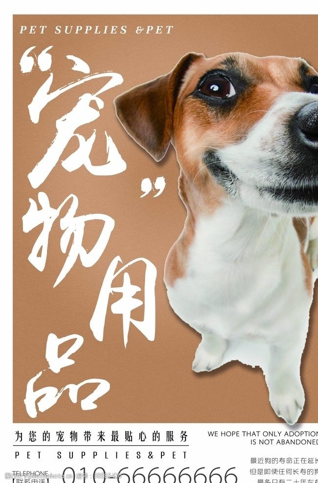 宠物医院展架宠物海报