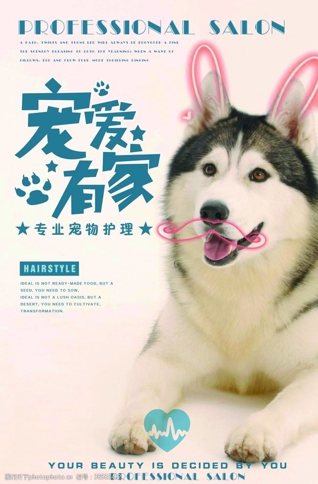 宠物生活馆宠物海报